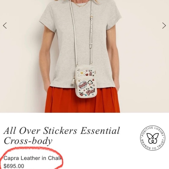 Anya Hindmarch Stickers Cell Phone Leather Crossbody Bag - Picture 10 of 10